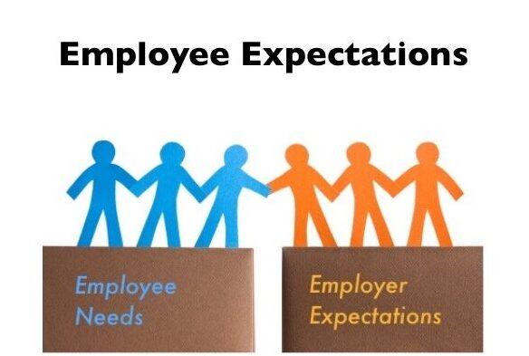 What Qualities Employers Expect From Freshers